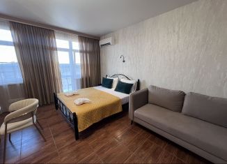 Сдаю в аренду квартиру студию, 40 м2, Сириус, Нижнеимеретинская улица, 137А