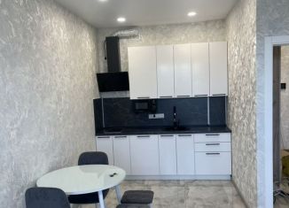 Сдается однокомнатная квартира, 43 м2, Республика Башкортостан, Айская улица, 61