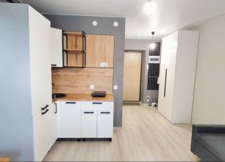 Продажа квартиры студии, 24.4 м2, Череповец, Рыбинская улица, 56