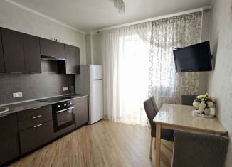 1-комнатная квартира в аренду, 46 м2, Ставрополь, переулок Крупской, 29/2к3, микрорайон № 9