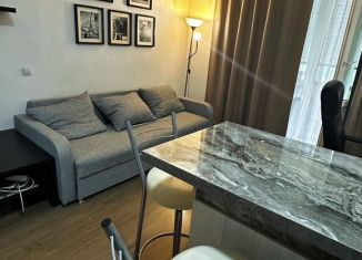 Продажа квартиры студии, 23.9 м2, Мурино, Воронцовский бульвар, 20к3, ЖК Гринландия-2