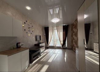 Продаю квартиру студию, 25.2 м2, Северодвинск, Крымская улица, 10