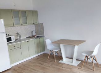 Аренда квартиры студии, 25 м2, деревня Новое Девяткино, Главная улица, 8