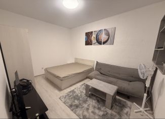 Аренда 1-ком. квартиры, 40 м2, Калининград, 3-я Большая Окружная улица, 36Б