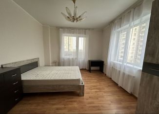 Сдаю 1-ком. квартиру, 38 м2, Санкт-Петербург, улица Ленсовета, 43к3