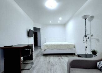 Продам 1-комнатную квартиру, 37 м2, Ростов-на-Дону, Магнитогорская улица, 1А/25