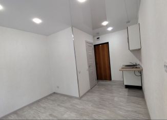 Продам квартиру студию, 14.5 м2, Самарская область, улица Николая Панова, 44