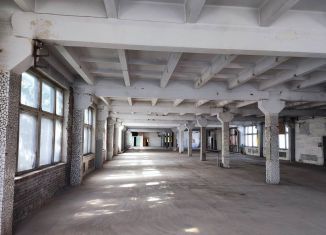 Сдам в аренду производство, 1300 м2, Новосибирская область, улица Чкалова, 3