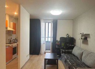 Продаю квартиру студию, 24.2 м2, Мурино, бульвар Менделеева, 1, ЖК Виктория