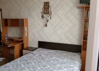 Сдаю 1-комнатную квартиру, 38.5 м2, Санкт-Петербург, улица Бурцева, 24, метро Проспект Ветеранов