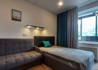 Продам квартиру студию, 25 м2, Санкт-Петербург, улица Фёдора Котанова, 5к2, ЖК Звёзды Столиц