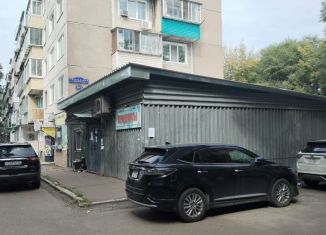 Сдача в аренду помещения свободного назначения, 134.7 м2, Благовещенск, Театральная улица, 44/2