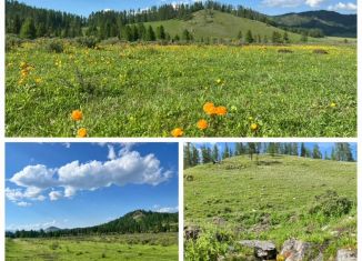 Продажа земельного участка, 2200 сот., Республика Алтай, улица Ветеранов, 87