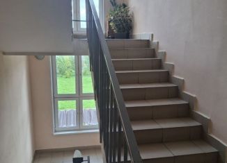 Продажа 1-комнатной квартиры, 30.8 м2, сельский посёлок Новинки, Инженерный проезд, 4, ЖК Стрижи