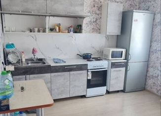 Аренда 2-ком. квартиры, 97 м2, Республика Башкортостан, улица Цюрупы, 78