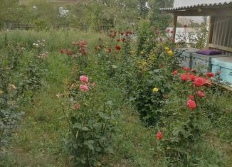 Продажа земельного участка, 4.3 сот., Дагестан