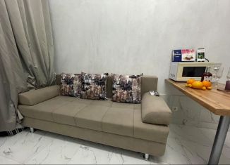 Сдается квартира студия, 25 м2, Сочи, улица Гастелло, 27Б