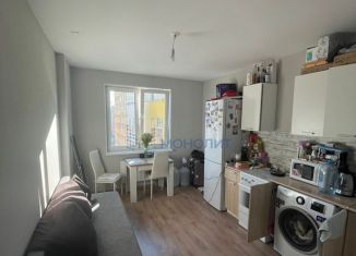 Продаю 1-ком. квартиру, 33 м2, Нижний Новгород, Новокузнечихинская улица, 14