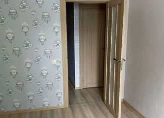 Продажа 2-комнатной квартиры, 43.3 м2, Мурино, улица Шувалова, 17, ЖК Краски Лета