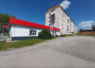 Продам помещение свободного назначения, 595.99 м2, Пермский край, улица Мехоношина, 6