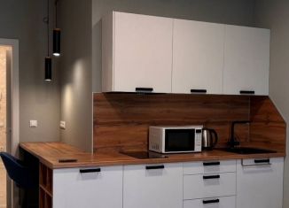 Сдам однокомнатную квартиру, 31 м2, Туапсе, улица Портовиков, 39/1