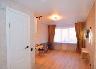 Продается квартира студия, 22 м2, Барнаул, Горно-Алтайская улица, 3