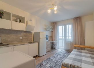 Продается квартира студия, 18.4 м2, Санкт-Петербург, набережная реки Каменки, 19к4, муниципальный округ Коломяги