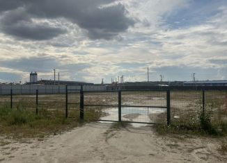 Продам участок, 50 сот., село Чигири