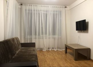 Продаю 1-ком. квартиру, 30.8 м2, Санкт-Петербург, проспект Мечникова, 11, Калининский район