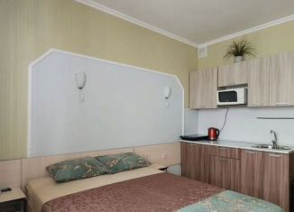 Сдам в аренду квартиру студию, 23 м2, Сириус, Ружейная улица, 39
