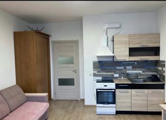 Сдается в аренду квартира студия, 24 м2, Мурино, улица Шувалова, 23, ЖК Гринландия-2