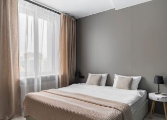 Сдам квартиру студию, 29 м2, Санкт-Петербург, проспект Просвещения, 83, метро Девяткино