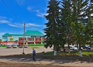 Сдача в аренду помещения свободного назначения, 49 м2, село Авдон, улица 60 лет СССР, 6