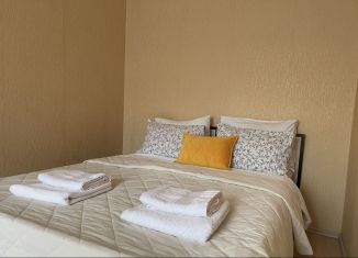 Сдача в аренду 1-комнатной квартиры, 40 м2, Карелия, проспект Ленина, 15