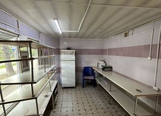 Продаю торговую площадь, 7 м2, Псков, улица Розы Люксембург, 11