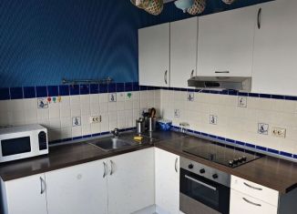 Сдам в аренду 2-комнатную квартиру, 61.2 м2, Лобня, улица Катюшки, 56