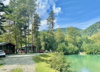 Сдаю в аренду дом, 40 м2, село Архыз