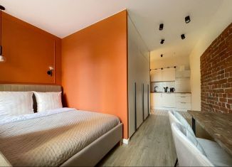 Продажа квартиры студии, 26 м2, Санкт-Петербург, улица Шкапина, 42, Адмиралтейский район