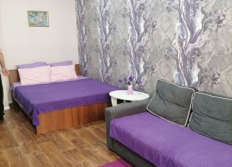 1-комнатная квартира в аренду, 48 м2, Анапа, Крестьянская улица, 27к5