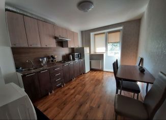Сдам в аренду 1-ком. квартиру, 35 м2, Ижевск, улица Халтурина, 41