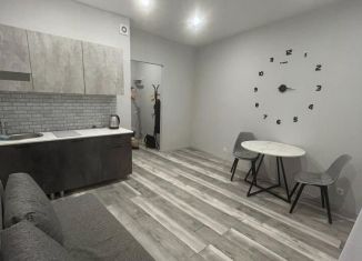 Продажа квартиры студии, 20.5 м2, деревня Новое Девяткино, Главная улица, 2