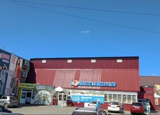 Сдача в аренду помещения свободного назначения, 386.5 м2, Бийск, улица Максима и Николая Казанцевых, 58/2