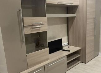 1-ком. квартира в аренду, 35 м2, Воронеж, Плехановская улица, 48