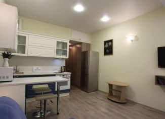 Сдача в аренду квартиры студии, 35 м2, село Раздольное, Земляничная улица, 56/2