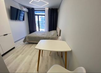 Продается квартира студия, 24 м2, Сочи, Ясногорская улица, 16/2к2, микрорайон Бытха