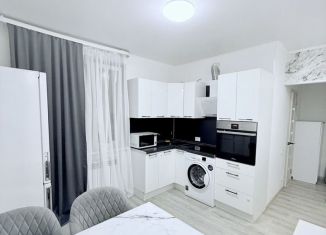 Сдается в аренду 1-ком. квартира, 37 м2, Пенза, Ладожская улица, 110