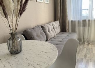 Сдам в аренду двухкомнатную квартиру, 45 м2, Иркутск, улица Ядринцева, 1/10