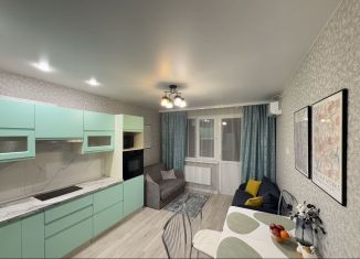 Сдам в аренду 2-ком. квартиру, 45 м2, село Раздольное, Тепличная улица, 63