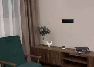 Сдача в аренду однокомнатной квартиры, 41 м2, Казань, Танковая улица, 2