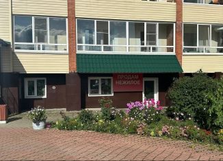 Продаю помещение свободного назначения, 50 м2, Томск, Нижний переулок, 47